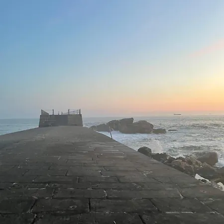 Vrs - Flat Porto