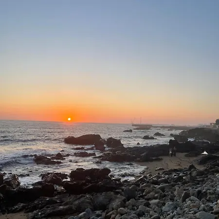 Vrs - Flat 아파트 *